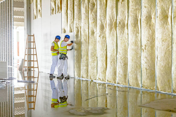 Best Geographic-Specific Insulation Services in New Boston, OH
